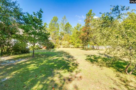 307 Bally Bunion Lane Columbia SC 29229