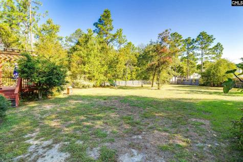 307 Bally Bunion Lane Columbia SC 29229