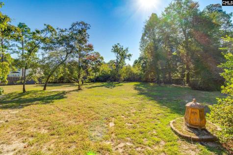 307 Bally Bunion Lane Columbia SC 29229