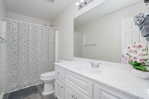 119 Barrington Drive Lexington SC 29072-1809