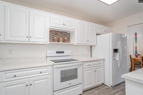 119 Barrington Drive Lexington SC 29072-1809