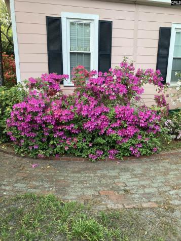 1822 Brevard Place Camden SC 29020