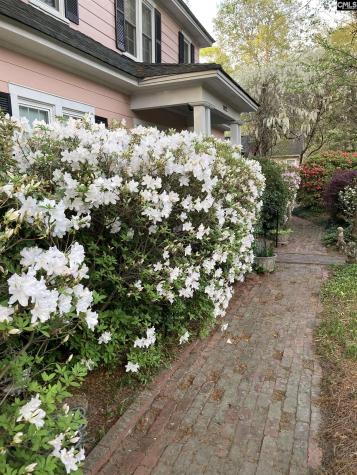 1822 Brevard Place Camden SC 29020