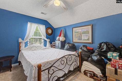 205 Coopers Hawk Circle Irmo SC 29063