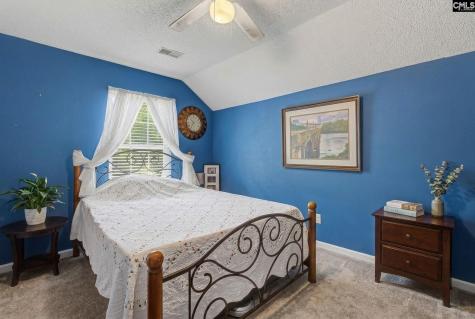 205 Coopers Hawk Circle Irmo SC 29063