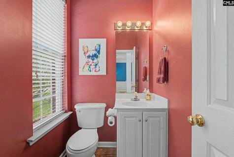 205 Coopers Hawk Circle Irmo SC 29063