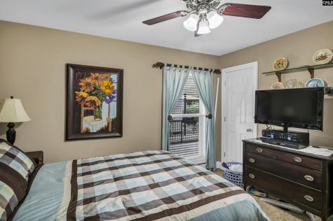 3524 Driftwood Point Road Gilbert SC 29054