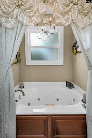 3524 Driftwood Point Road Gilbert SC 29054