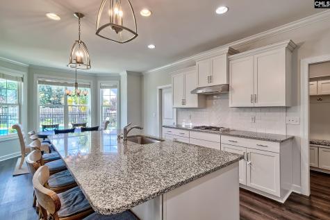 428 Sterling Brook Drive Lexington SC 29072
