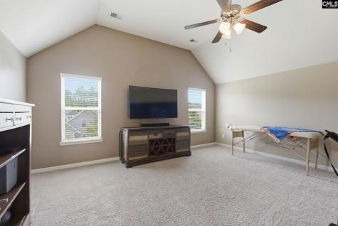 405 Lever Hill Road Chapin SC 29036