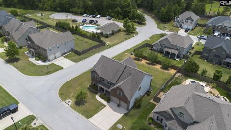 405 Lever Hill Road Chapin SC 29036