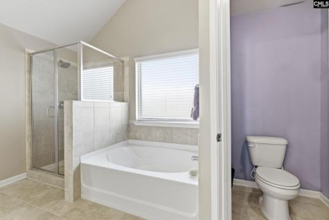 405 Lever Hill Road Chapin SC 29036