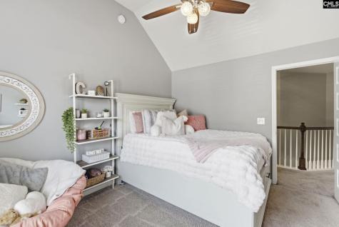 405 Lever Hill Road Chapin SC 29036