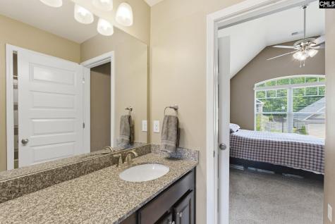 405 Lever Hill Road Chapin SC 29036