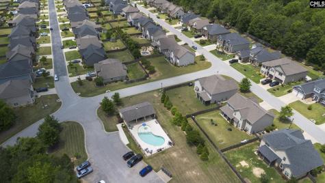405 Lever Hill Road Chapin SC 29036