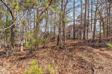 136 Widgeon Drive Lexington SC 29072