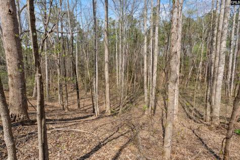 1778 White Road Camden SC 29020