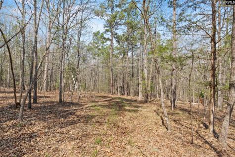 1778 White Road Camden SC 29020