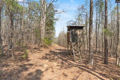 1778 White Road Camden SC 29020