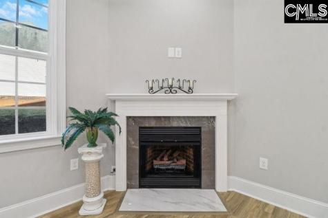 10 Saints Creek Place Irmo SC 29063