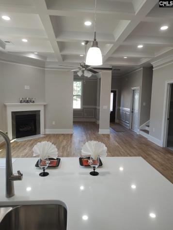 10 Saints Creek Place Irmo SC 29063