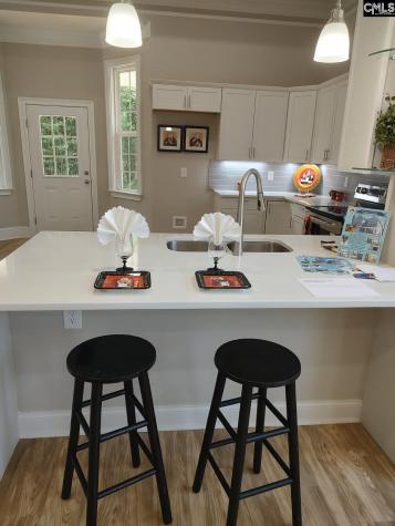 10 Saints Creek Place Irmo SC 29063