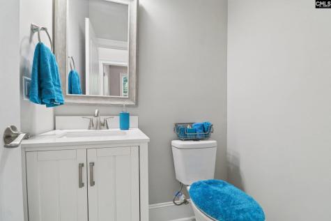 10 Saints Creek Place Irmo SC 29063