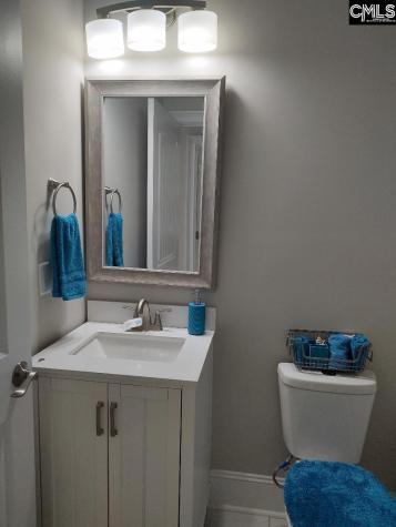 10 Saints Creek Place Irmo SC 29063
