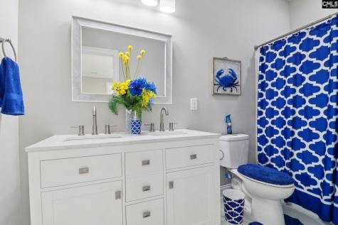 10 Saints Creek Place Irmo SC 29063