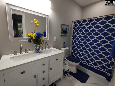 10 Saints Creek Place Irmo SC 29063