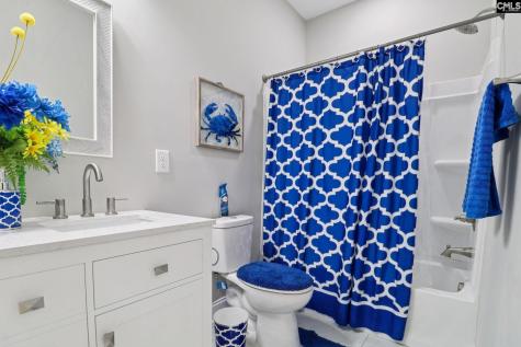 10 Saints Creek Place Irmo SC 29063