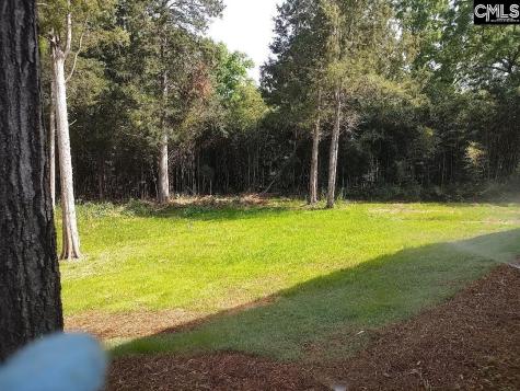 10 Saints Creek Place Irmo SC 29063