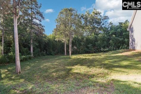 10 Saints Creek Place Irmo SC 29063