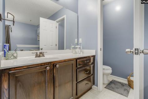 265 Farming Creek Way Lexington SC 29072
