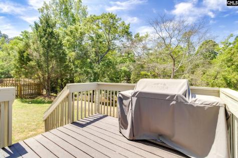 265 Farming Creek Way Lexington SC 29072