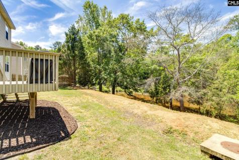 265 Farming Creek Way Lexington SC 29072