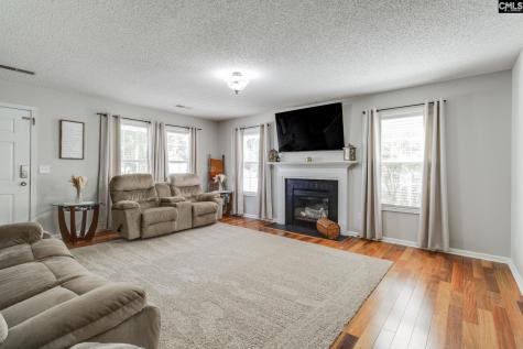 265 Farming Creek Way Lexington SC 29072