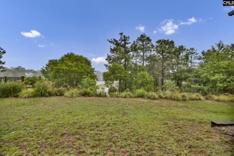 212 Indigo Springs Drive Columbia SC 29229