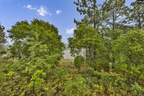 212 Indigo Springs Drive Columbia SC 29229
