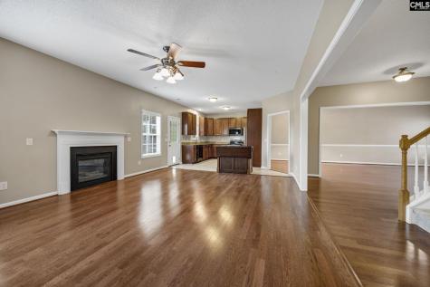212 Indigo Springs Drive Columbia SC 29229