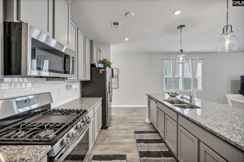 420 Lady Liberty Way Lexington SC 29073