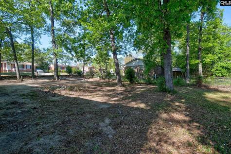 117 Lambeth Drive Columbia SC 29209