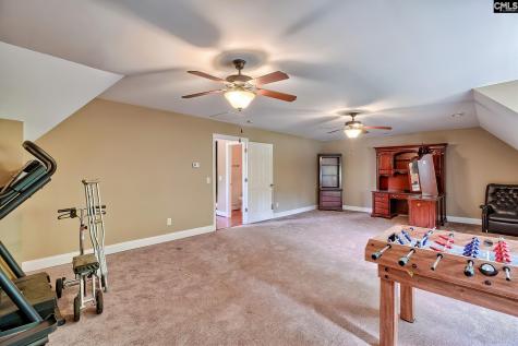 231 Laurent Way Irmo SC 29063