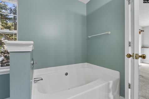 101 High Bluff Lane Irmo SC 29064