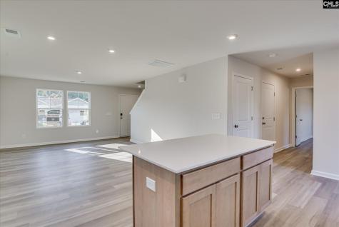 239 Kingfield Drive Hopkins SC 29061
