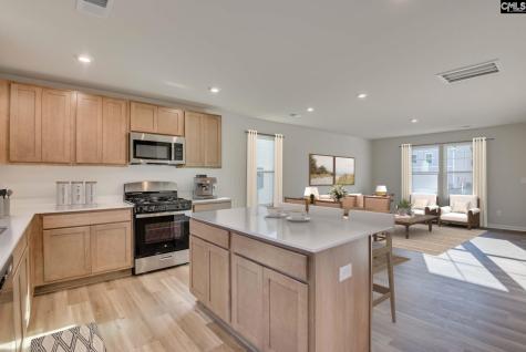 239 Kingfield Drive Hopkins SC 29061