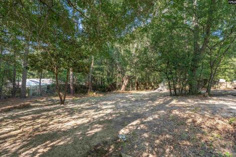 1437 Burley Court Columbia SC 29204