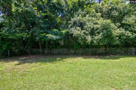 1513 Sarsfield Avenue Camden SC 29020