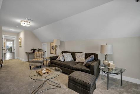 205 Palm Lake Drive Columbia SC 29212
