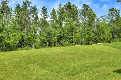143 Bloomsbury Drive Lexington SC 29073
